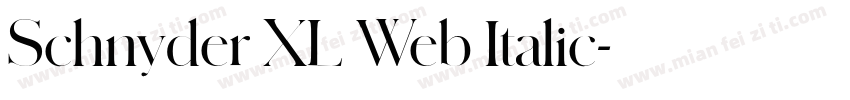 Schnyder XL Web Italic字体转换